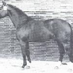 Pilatus