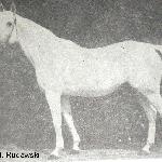 Caruso
