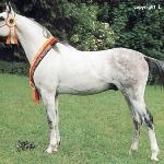 Santhos