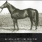 Hirohito - Hirohito<br />&copy; https://www.pzhk.pl/2020/06/warto-wracac-do-przeszlosci-pelna-krew-kiedys/