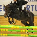 Zulus ex Salvo Goosby - CSI Leszno 15.11.2009<br />&copy; Katarzyna Boryna