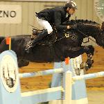 Zulus ex Salvo Goosby - CSI Leszno 15.11.2009<br />&copy; Katarzyna Boryna