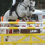 My Lady - CSIO Sopot 2009<br />&copy; KB