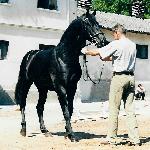 Monsun - ZT Bogusławice 2001r.<br />&copy; Małgorzata Serafin-Kozyra