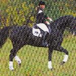 Monsun