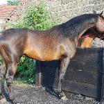Plik - 2008
