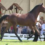 Klarana - Białka 2007r.