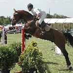 Chorwat - Mistrzostwa Polski Młodych Koni w Skokach 2005