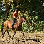 Burgund
