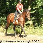 Burgund - Klikowa 2008<br />&copy; Justyna Krawczyk