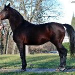 Burgund - listopad 2019<br />&copy; Anna Pyzara-Nakoniechnaia