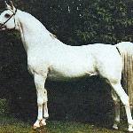 Tryptyk