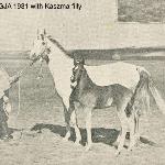 Magja - Magja z klaczką Kaszma po Kaszmir, 1939r.