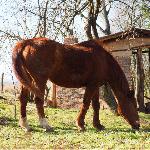 Flori - Flori w wieku 31 lat.<br />&copy; Urszula Duda