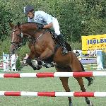 Awelana - Mistrzostwa Polski Młodych Koni w Skokach 2005