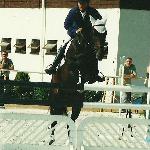 Odillo - Odillo zawody w klubie Farma Sielanka w 2003 r