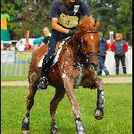 Katon - CIC** Strzegom 2009<br />&copy; Oliwia Chmielewska