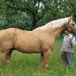 Aramir