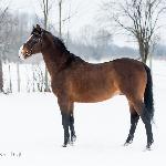 Bon<br />&copy; Oliwia Chmielewska - chmielewskafoto.pl