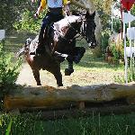 Dworzanin - MPMK Biały Bór - 23-25.09.2005<br />&copy; Małgorzata Odyniec