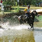 Dworzanin - MPMK Biały Bór - 23-25.09.2005<br />&copy; Małgorzata Odyniec