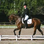 Golden Lady - MPMK Biały Bór - 23-25.09.2005<br />&copy; Małgorzata Odyniec