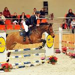Ananke - 2014<br />&copy; Baza Koni