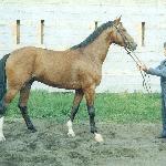 Bujak - Bujak i Krzysztof Schroeter, SO Sieraków, 1992 r.<br />&copy; S. Śnidziński