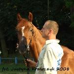 Jałta<br />&copy; Justyna Krawczyk<br /><i>Klikowa 2008</i>