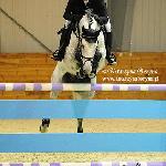 Bajou du Rouet - CSI Leszno 2010<br />&copy; Katarzyna Boryna