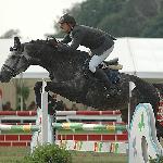 Otello - Mistrzostwa Polski Młodych Koni w Skokach - Łąck, 25-27.08.2006<br />&copy; Małgorzata Siergiej www.zelichow.pl