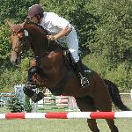 Sallust S - Mistrzostwa Polski Młodych Koni w Skokach 2005