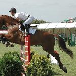 Andrus - Mistrzostwa Polski Młodych Koni w Skokach 2005