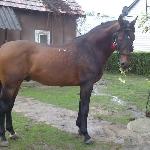Filantrop