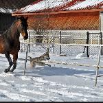 Filantrop - Filantrop<br />&copy; A. Borysiuk