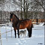 Filantrop - Filantrop<br />&copy; A. Borysiuk