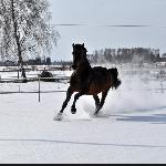 Filantrop - Filantrop<br />&copy; A. Borysiuk