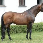 Filantrop