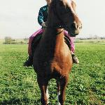 Akant
