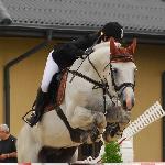 Hetman - MPJ Warka 2009<br />&copy; Oliwia Chmielewska