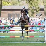 Ares - W.Wilska Ares<br />&copy; Monika Chrzan