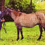 Ambrozja - 2000r.<br />&copy; Anna Deszczyńska