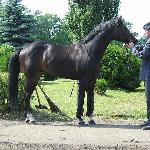 Herb<br />&copy; ozhk-lodz.pl