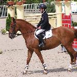 Holz-Sport Agresja