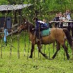 Grażda - Iwkjowa 2004r.<br />&copy; Małgorzata Serafin-Kozyra
