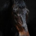 Orsk<br />&copy; Katarzyna Boryna