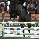 Omen Z - CSI Katowice PARADA HORSE SHOW 2009<br />&copy; Katarzyna Boryna