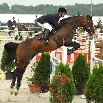 Sir Robin - CSI Warka 2008<br />&copy; Oliwia Chmielewska