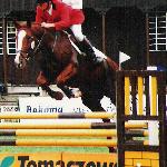 Saragossa - finały Championatów Młodych Koni - Legia Warszawa 2001r