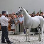 Ernestyna